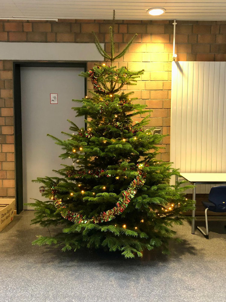 It’s beginning to look a lot like Christmas…